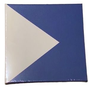 NWT Blue Nautical Canvas Print